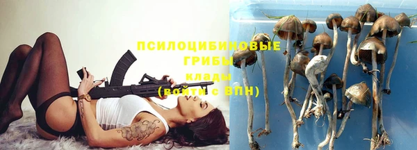 круглые Абаза