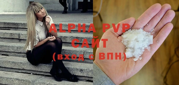 гашик Алексеевка